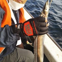 岡田釣船 八英丸 釣果