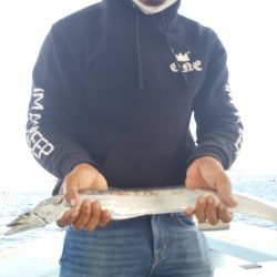 岡田釣船 八英丸 釣果