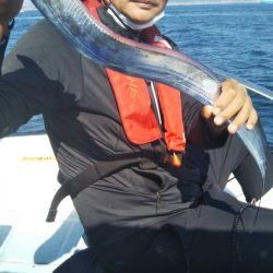 岡田釣船 八英丸 釣果