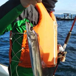 岡田釣船 八英丸 釣果