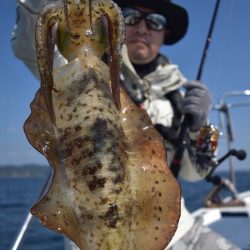 渡船屋たにぐち 釣果