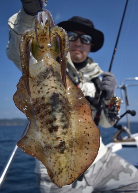 渡船屋たにぐち 釣果