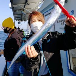 ヤザワ渡船 釣果