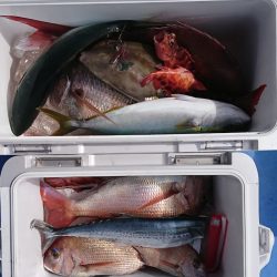 遊漁船 家入 釣果