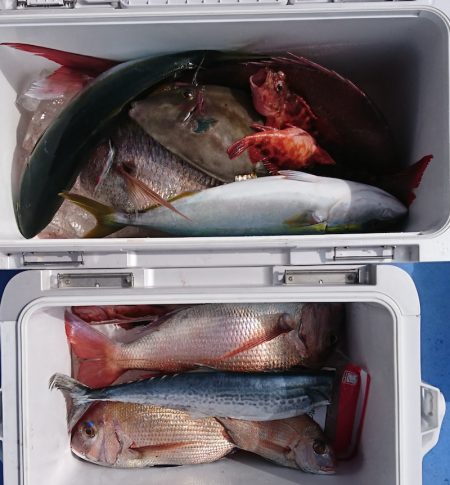 遊漁船 家入 釣果