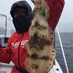 渡船屋たにぐち 釣果