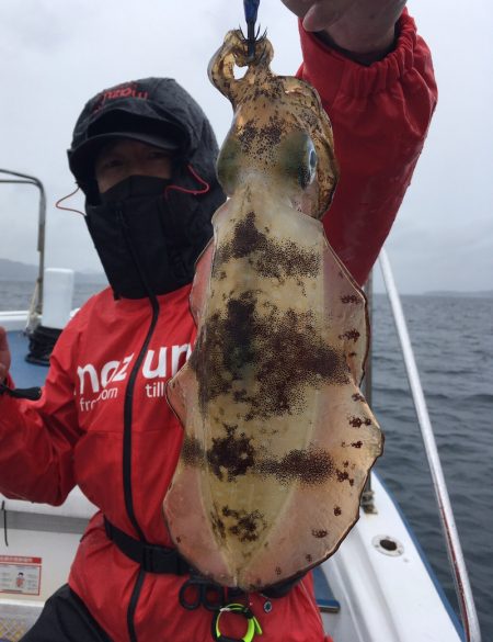 渡船屋たにぐち 釣果