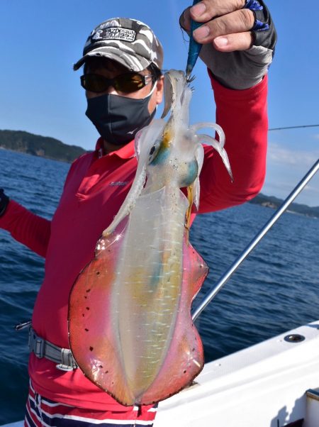 渡船屋たにぐち 釣果