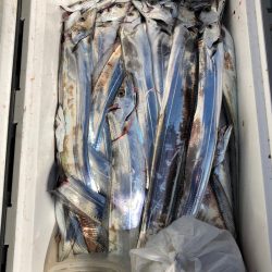 フィッシング　キッタカ 釣果