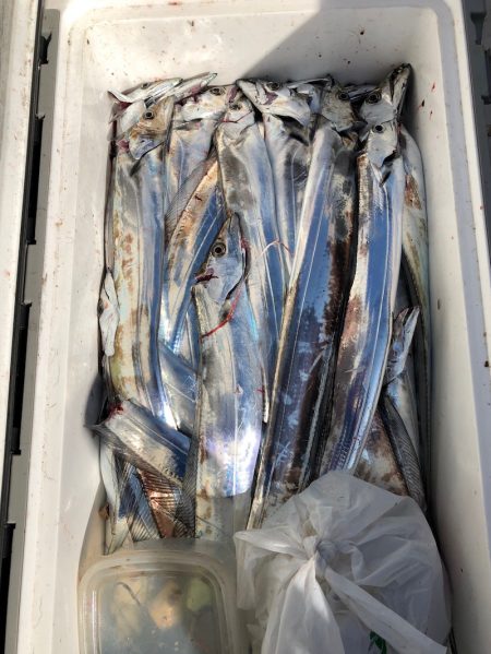 フィッシング　キッタカ 釣果