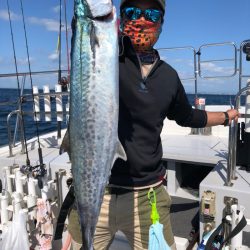 ビッグファイター 釣果