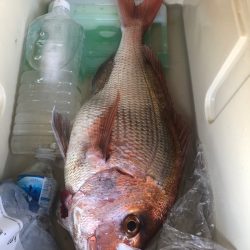 第二八坂丸 釣果