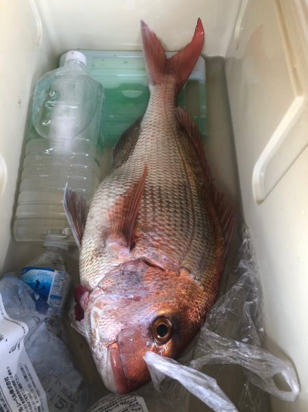 第二八坂丸 釣果