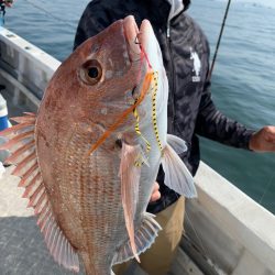 ランスルー 釣果