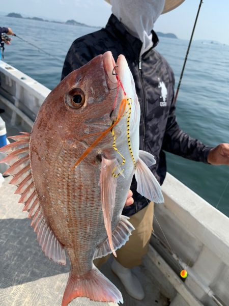 ランスルー 釣果