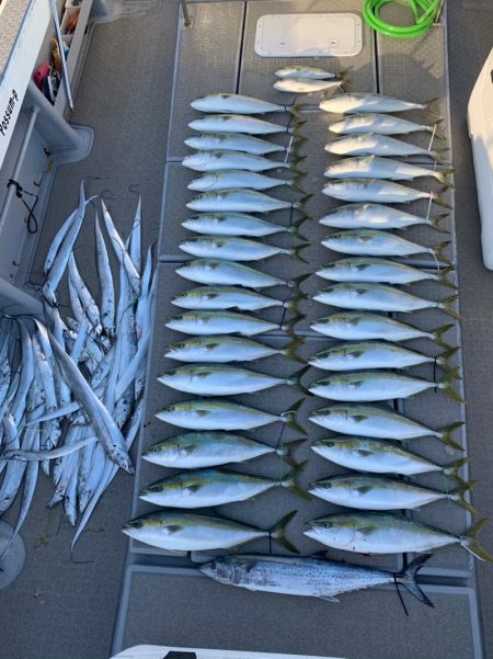 SeaRide(シーライド) 釣果