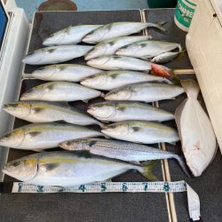 Monster Rush! 釣果