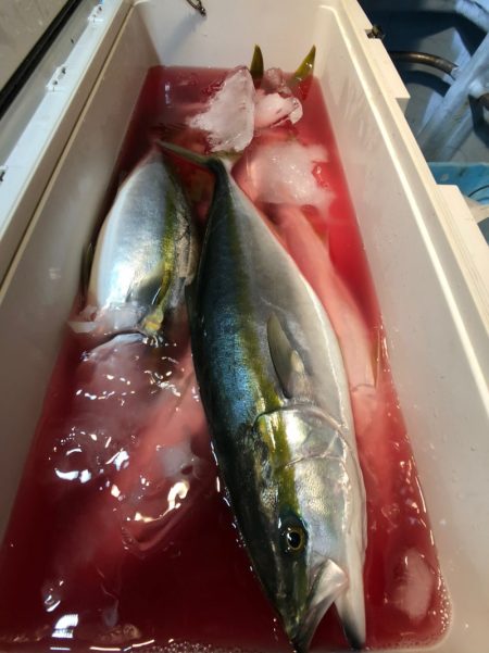 第二八坂丸 釣果