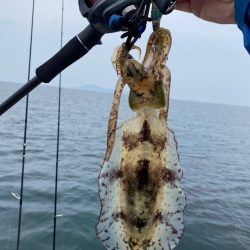 「LaGooN」蒼陽丸 日和号　 釣果