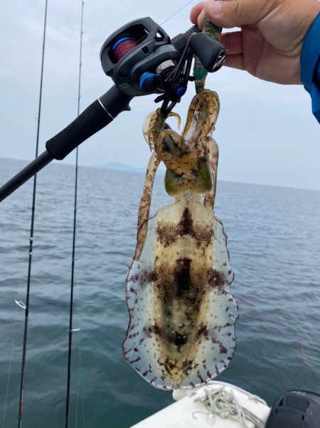 「LaGooN」蒼陽丸 日和号　 釣果