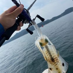 「LaGooN」蒼陽丸 日和号　 釣果