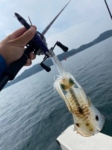 「LaGooN」蒼陽丸 日和号　 釣果