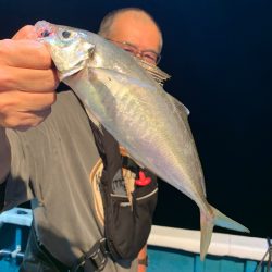 愛海丸 釣果