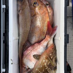 フィッシング キッタカ 釣果