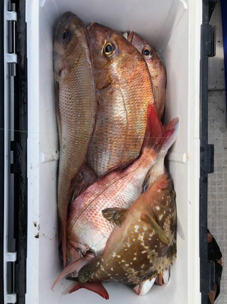 フィッシング キッタカ 釣果