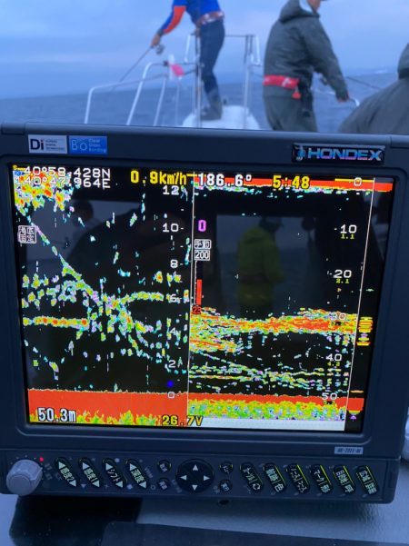 遊漁船ブルーウッズ 釣果