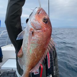 遊漁船ブルーウッズ 釣果