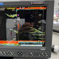 遊漁船ブルーウッズ 釣果