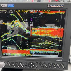 遊漁船ブルーウッズ 釣果