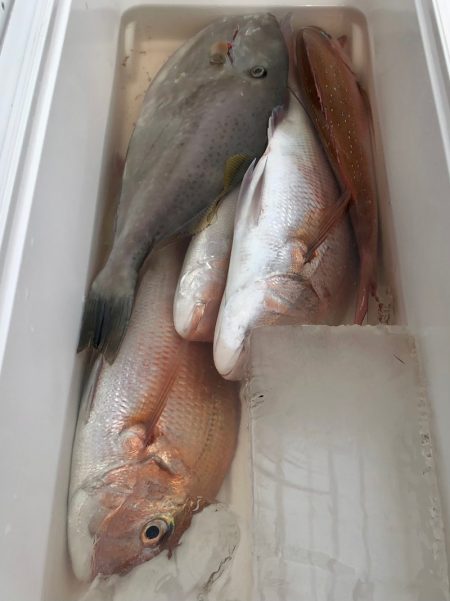 第二八坂丸 釣果