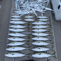 SeaRide(シーライド) 釣果