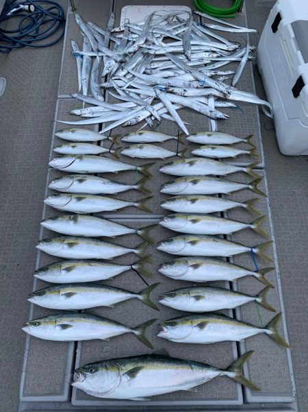 SeaRide(シーライド) 釣果