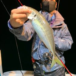 愛海丸 釣果