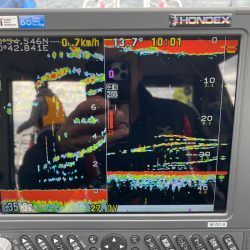 遊漁船ブルーウッズ 釣果