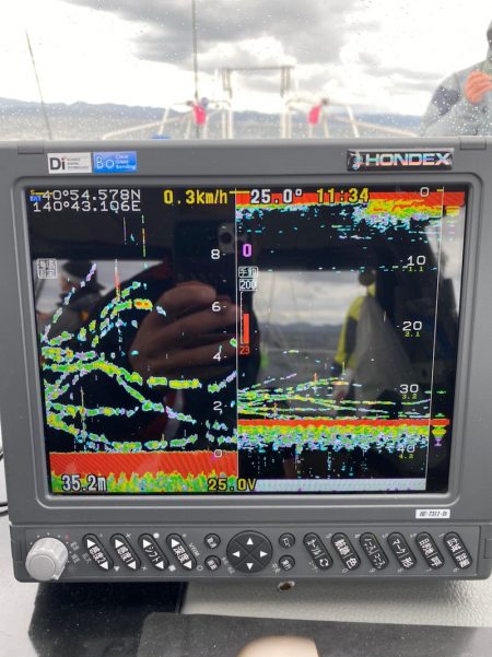 遊漁船ブルーウッズ 釣果