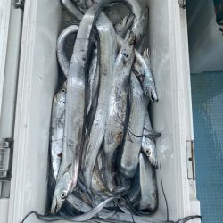 岡田釣船 八英丸 釣果