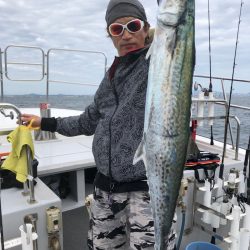 ビッグファイター 釣果