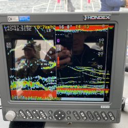 遊漁船ブルーウッズ 釣果