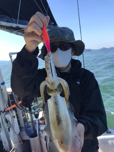 遊漁船メテオ 釣果