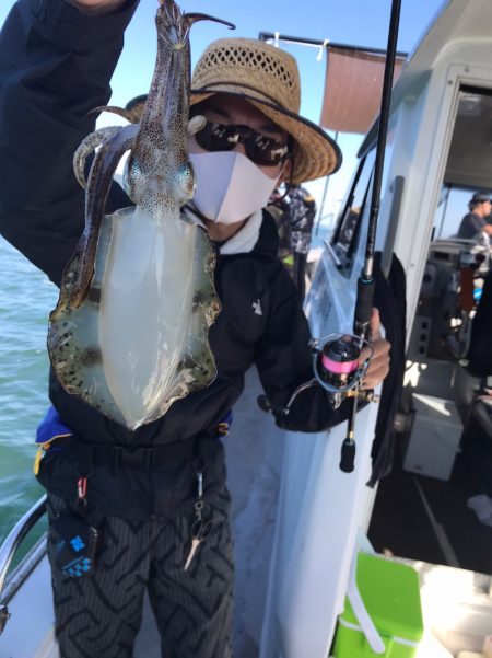 遊漁船メテオ 釣果