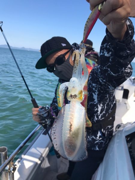 遊漁船メテオ 釣果