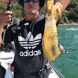 遊漁船メテオ 釣果