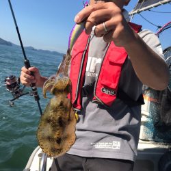 遊漁船メテオ 釣果