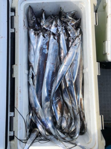 フィッシング キッタカ 釣果