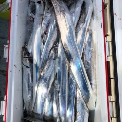 フィッシング キッタカ 釣果