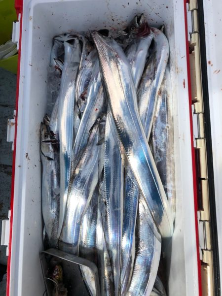 フィッシング キッタカ 釣果